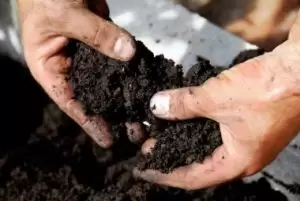humuslu toprak özellikleri