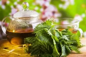 ısırgan otu çayı faydaları